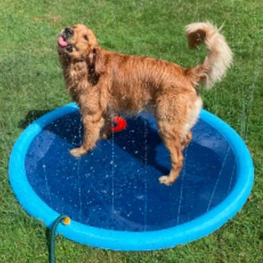 SplashPaws™️ Sprinkler Pad